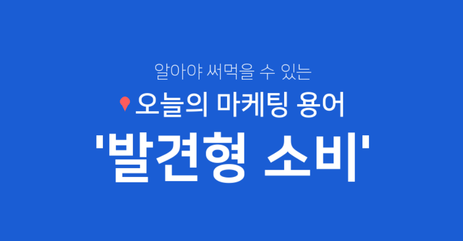발견형 소비